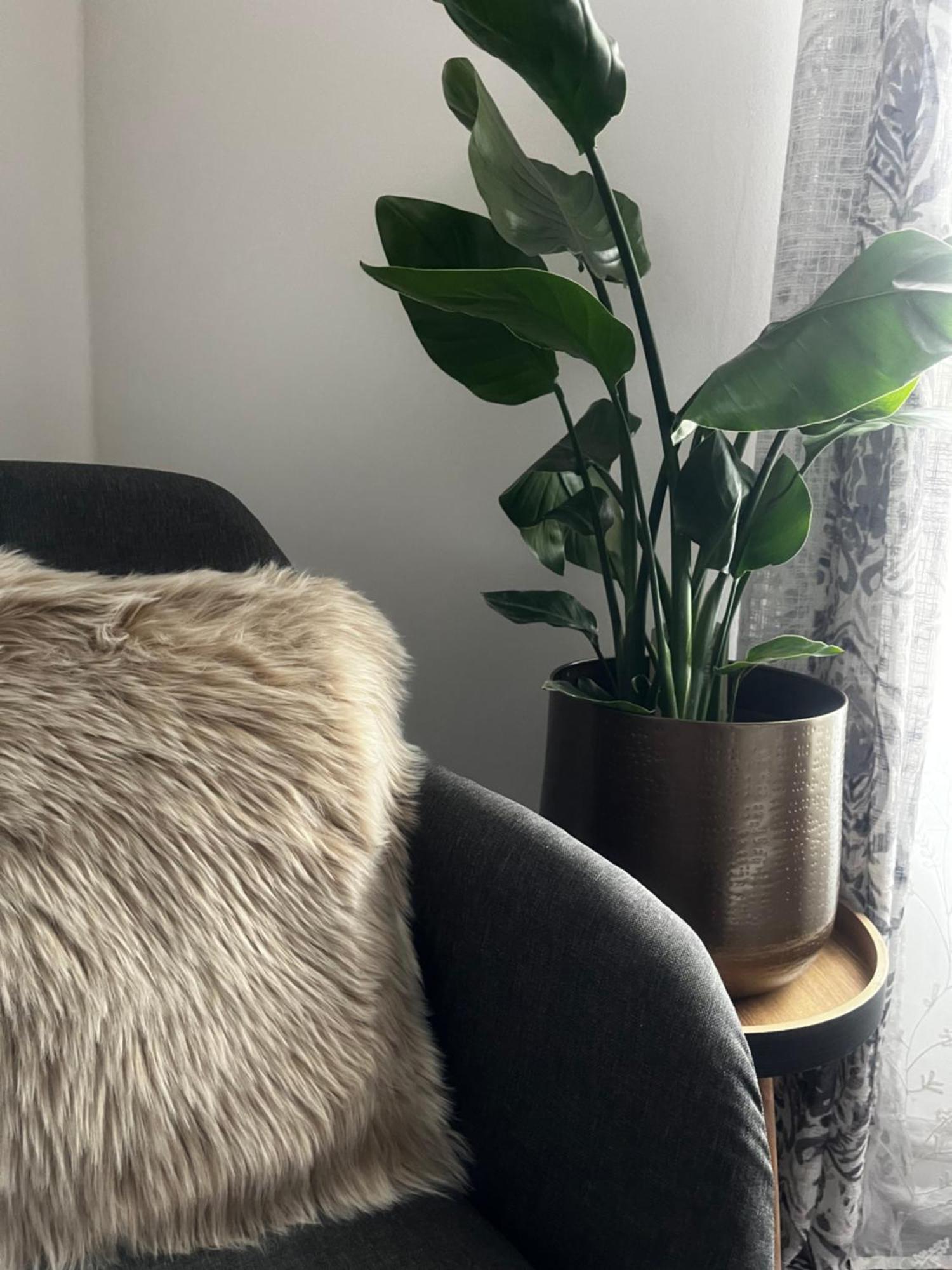 Oparno 38 Apartment Ngoại thất bức ảnh